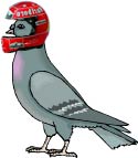 Rudolf.  Michael Schumacher's private messenger pigeon