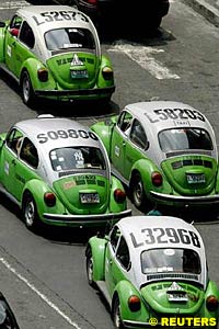 Beetles in Mexico City