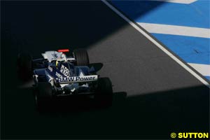 Pizzonia in the Williams