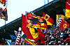 Click on thumbnail to enlarge