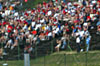 Click on thumbnail to enlarge