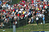 Click on thumbnail to enlarge