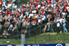Click on thumbnail to enlarge